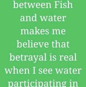 Meet your Posher, Lyandra